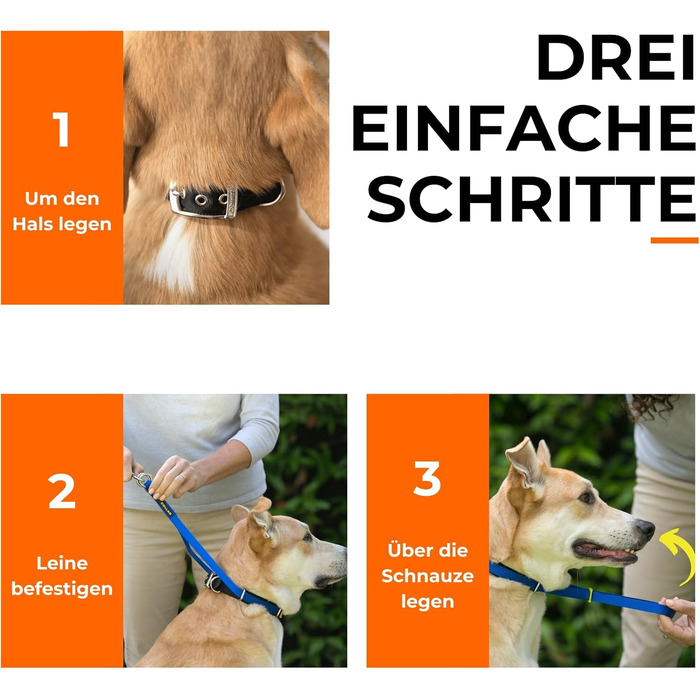 Антитягнучий нашийник-шлейка для собак Мяко та ефективно зупиняє тягу на повідку Допоміжний засіб для спокійних прогулянок Розмір 6, Ліловий. Обхват шиї 48-53 см Розмір 6