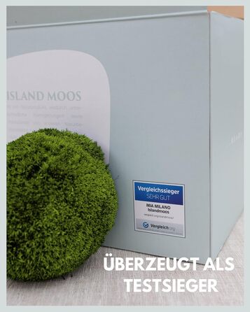 Шаровий мох збережений натуральний зелений 125 г Справжній Болленмосс для фотографій моху Міцний мох для рукоділля Водостійкий натуральний зелений ісландський мох