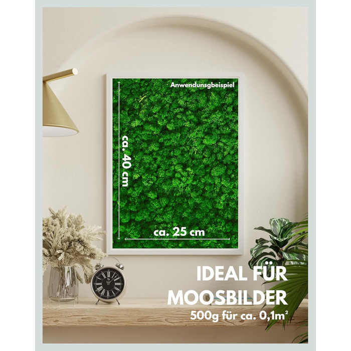 Ісландський мох натуральний зелений збережений I Декорація з моху для крафта I 500г Справжній декоративний мох Ісландський для картини з моху та живої мохової стіни
