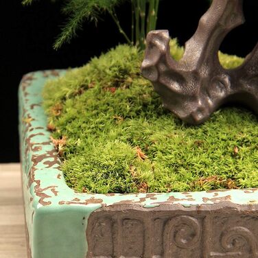 Упаковки Штучний імітаційний мох, зручний і практичний штучний зелений мох Штучний оленячий мох Імітація лишайників Підроблені зелені рослини для рослин Прикраса саду патіо, 2