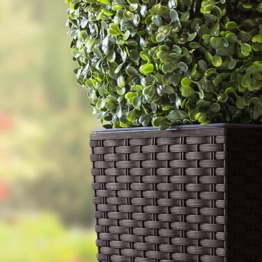 Квадратний квітковий горщик Prosper Plast drts300440U 28,7 x 28,7 x 55 см &39Rato&39 темно-коричневий (комплект з 12 предметів)