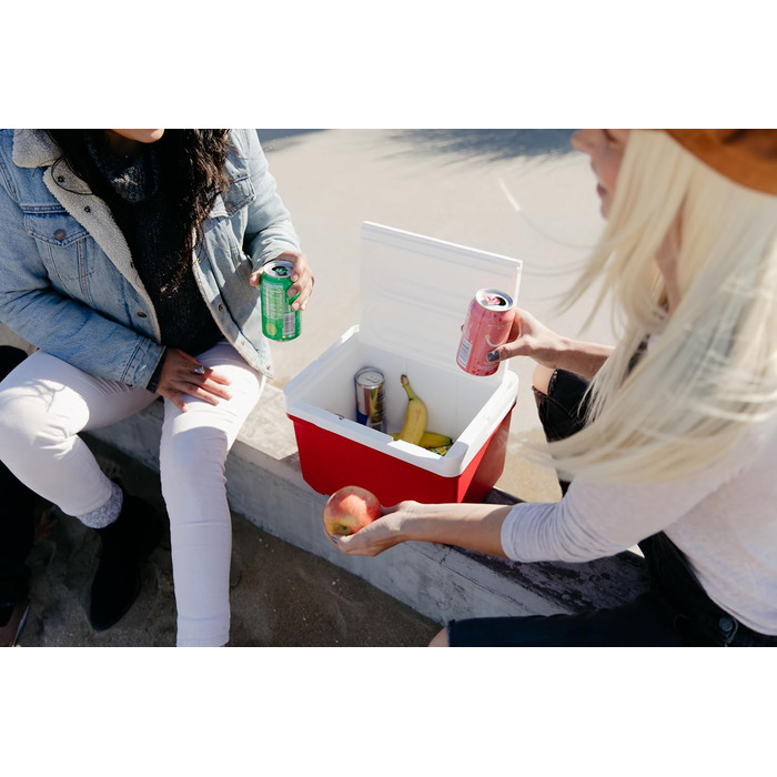 Пасивний міні-холодильник Laguna 9, невеликий легкий термобокс для кемпінгу, сніданку, роботи та перекусів, 8 літрів