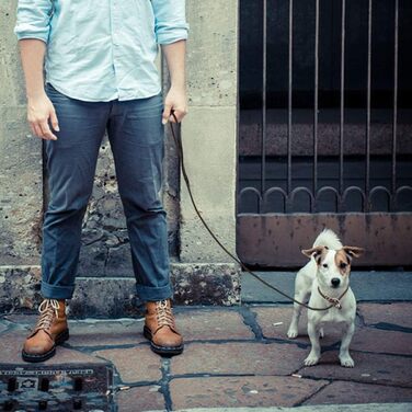 Шкіряний повідок для маленьких та середніх собак, цуценят, легкий, тонкий, але міцний, регульований, м'який та елегантний, довжина 160 см, ширина 0,6 см (коричневий)