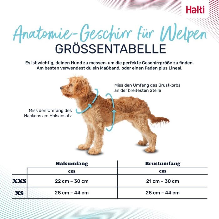 Шлейка HALTI Anatomy для цуценят свобода рухів та комфорт для вашого малюка. Легко одягається завдяки 4 точкам регулювання. Підходить для дрібних порід собак (розмір XXS, сірий)