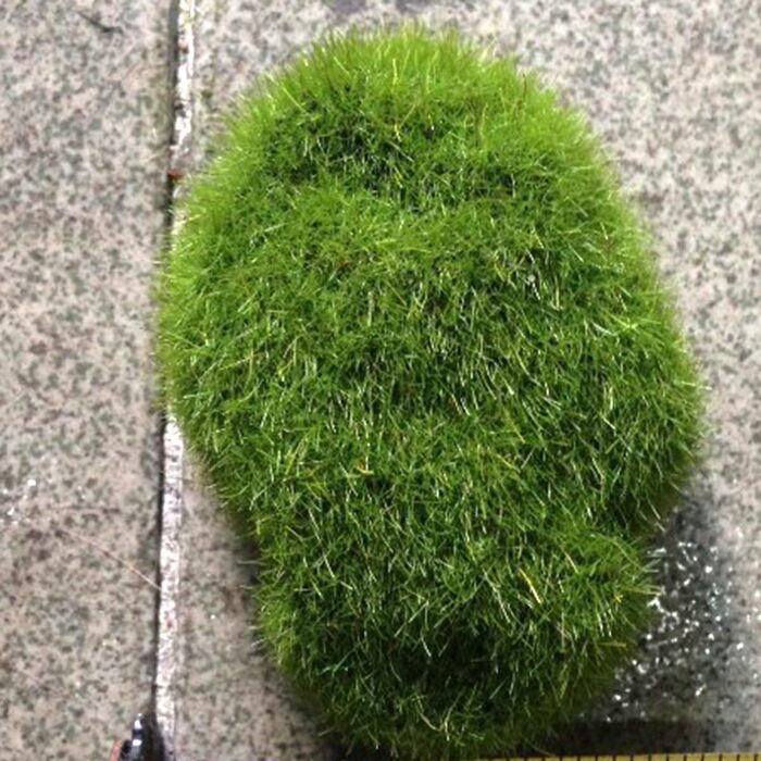 Штучні мохові камені казковий садовий мох скелі ляльковий будиночок квітковий горщик DIY прикраса, 12 шт.