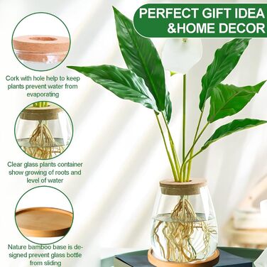 Ваза для закваски насіння авокадо Скляний плантатор Гідропонна скляна ваза для водних рослин або квітів Домашній офіс Оформлення столу 2 шт., 12x11