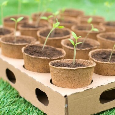 Горщики для насіння біологічно розкладаються 6 см, маленькі горщики для насіння з паперової маси круглі, для розсади, насіння, жив