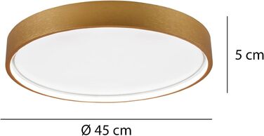 Стельовий LED-світильник Trio Leuchten Doha 641310208, матова латунь, акрил, LED 29 Вт
