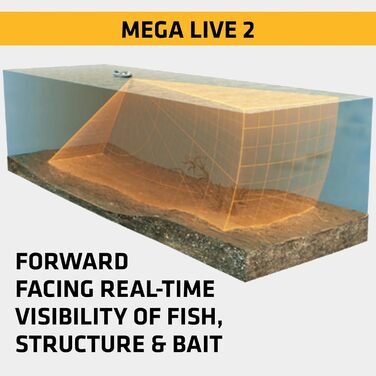 Фотографії, 2