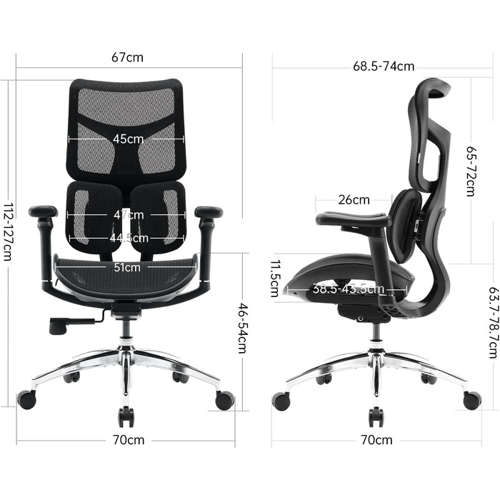 Ергономічне офісне крісло SIHOO з подвійною динамічною поперековою опорою, робоче крісло з 5-позиційною регульованою спинкою, офісне крісло з 4D-координованими підлокітниками (S100 Black) Чорний сучасний