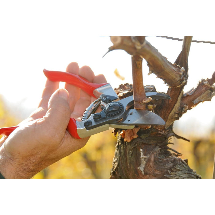 Садові ножиці FELCO 8 зі шкіряною кобурою 910 ергономічний набір для точного зрізання в саду чи винограднику
