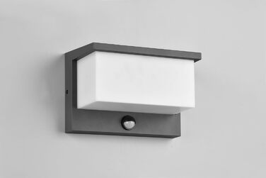 Стічний LED-світильник Trio Leuchten Nestos 240969142, алюміній (антрацит), білий пластиковий плафон, 13 Вт, з датчиком руху