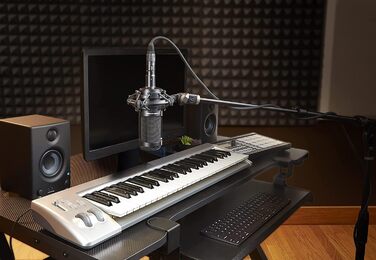 Конденсаторний мікрофон Audio-Technica AT2035 з кардіоїдною спрямованістю, чорний