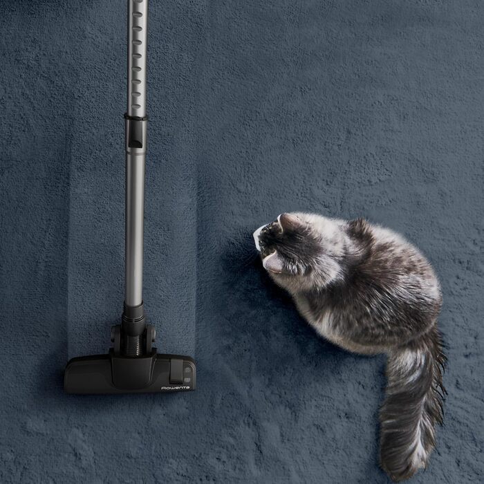 Пилосос без мішка 500 Вт 2,5 л 66 децибел Чорний / Алюмінієвий будинок шерсть домашніх тварин, 7C66