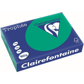 Папір Clairefontaine Trophe/1019C А4 ялиця зелена/темно-зелена 160г Дюйм. 250 арк.