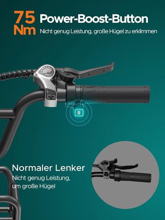 Чоловічий електровелосипед ENGWE з акумулятором 48 В 13 Аг, колесами 20 * 4,0 дюймів, 7-ступінчастою коробкою передач з РК-дисплеєм, двигуном 250 Вт та швидкістю 25 км/год, запасом ходу до 120 км L20/L20 Boost Black L20 BOOST