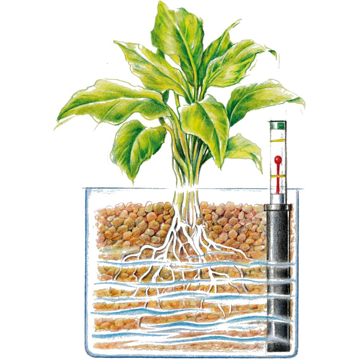Глиняний гранулят Westland, 5 л рослинний гранулят, ідеальний для гідропоніки, дренажний субстрат без хімічних добавок, для внутрішнього та зовнішнього використання, глина