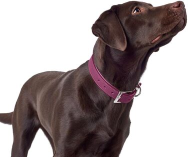 Ошийник для собак HUNTER Sofia, колір малиновий, штучна шкіра з виглядом бичачої шкіри, простий у догляді, яскравий колір, м'яко підбитий, стійкий до розривів, виготовлений у Німеччині, розмір 45 см