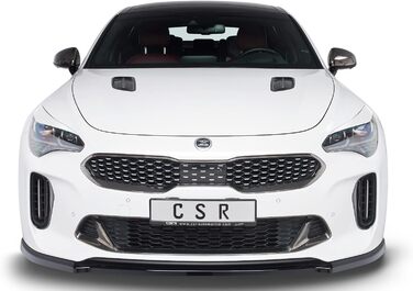 Автомобільні чохли для фар, сумісні з/замінені для Kia Stinger SB296-L
