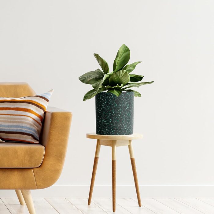 Набір з 5 квіткових горщиків з блюдцями, 17,8 см/15,2 см/14 см/12,7 см/10,2 см, пластикові кашпо, набір квіткових горщиків, ідеально підходить для кімнатних та балконних садів, чорний із зеленими цятками 765,554 дюймів (5 шт.) чорний із зеленими цятками