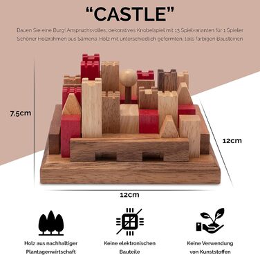 Дерев&39яна логічна гра з багатьма варіаціями гри, 3D Puzzle - Brain Teaser - Brain Teaser - Patience Game -