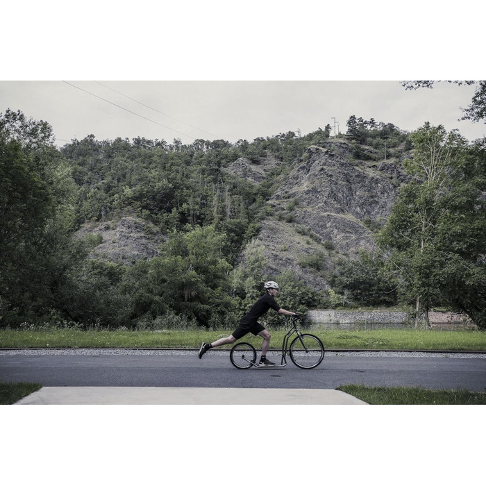 Самокат Yedoo S2620 - до 130 кг, самокат з пневматичними шинами 26/20 - самокат для дорослих, самокат для собак silvergold