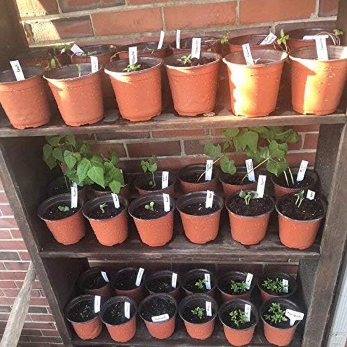 Горщики для рослин горщики для рослин горщики для вирощування квітковий горщик пластикові маленькі горщики для вирощування пластик