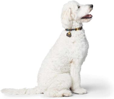 Ошийник для собак HUNTER Sansibar, колір темно-коричневий, високоякісна яловича шкіра, морські деталі, сині декоративні шви, латунні металеві елементи, регульований розмір, стильний та міцний, виготовлено в Німеччині, розмір M темно-коричневий M