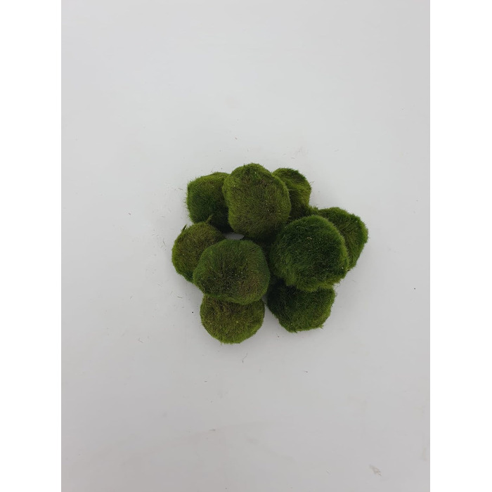 Великі кульки з моху 3 шт. и приблизно 6-7 см 1 нано кулька з моху 1-2 см