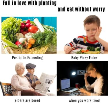 Набори для вирощування на гідропоніці, труби ПВХ харчового класу, для початківців, для домашньої кухні підвіконня