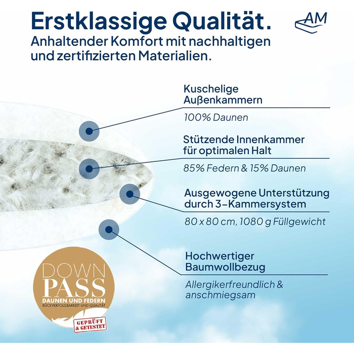 Пухова подушка 80x80 - Зроблено в Німеччині, 3-камерна подушка 80x80 см - зовнішня камера зі 100 пуху - пір&39яна подушка 80 x 80 см, підходить для алергіків - подушка 80x80, наповнювач з пуху та пера, 80 x 80 см