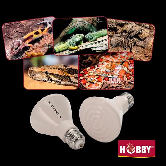 Лампа нагрівальна Hobby 37080 Elstein IOT / 75, 60 Вт, біла, (1 упаковка)