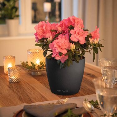 Колір 21 сланець сірий 13184, 22x22x20 см 22x22x20 см сланець сірий