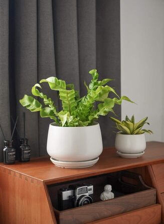 Керамічні квіткові горщики LE TAUCI з блюдцями, набір маленьких квіткових горщиків діаметром 101316 см, набір з 3 горщиків для кімнатних рослин, горщики з дренажним отвором, білі