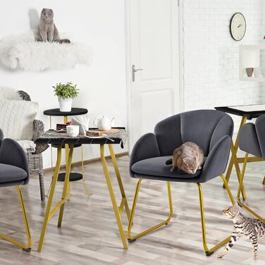 Сучасний обідній стілець Yaheetech, кухонний стілець у формі квітки, м&39яке крісло із золотистими металевими ніжками, для вітальні/їдальні, темно-сірий, темно-сірий поліестер