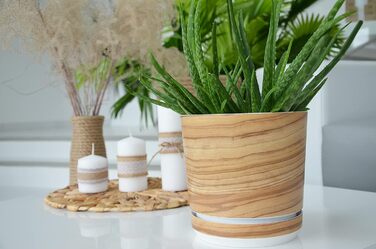 Горщик для квітів з блюдцем - Візерунок 047 Бамбук - 26 см - Кашпо з високоякісного пластику - Декоративний горщик для рослин 26 с