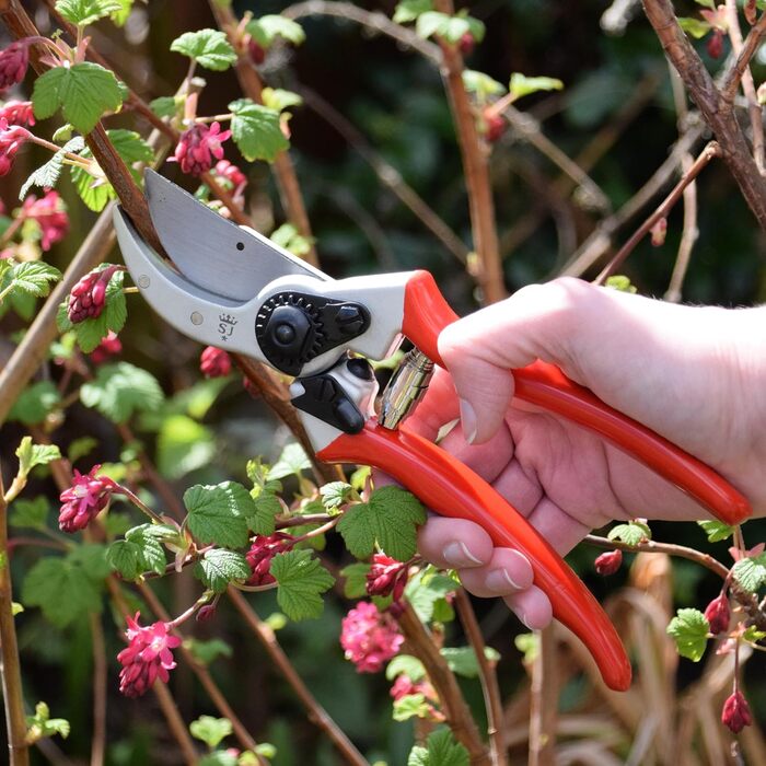 Садові ножиці Spear & Jackson 6659BS Robust Bypass, посилені, з коротким зрізом