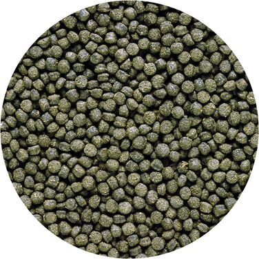 Гранули Hikari ML DWARF CICHLIST Excel Sinking Pellets для домашніх тварин, міні, 12 унцій (упаковка з 1)