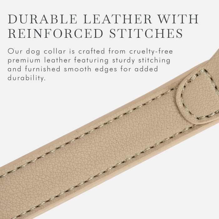 Нашийник для собак Nina Woof Cupertino, з екошкіри, м'який та регульований, з кріпленням для трекера, Бежевий, Розмір XS (обхват шиї 23-30 см)