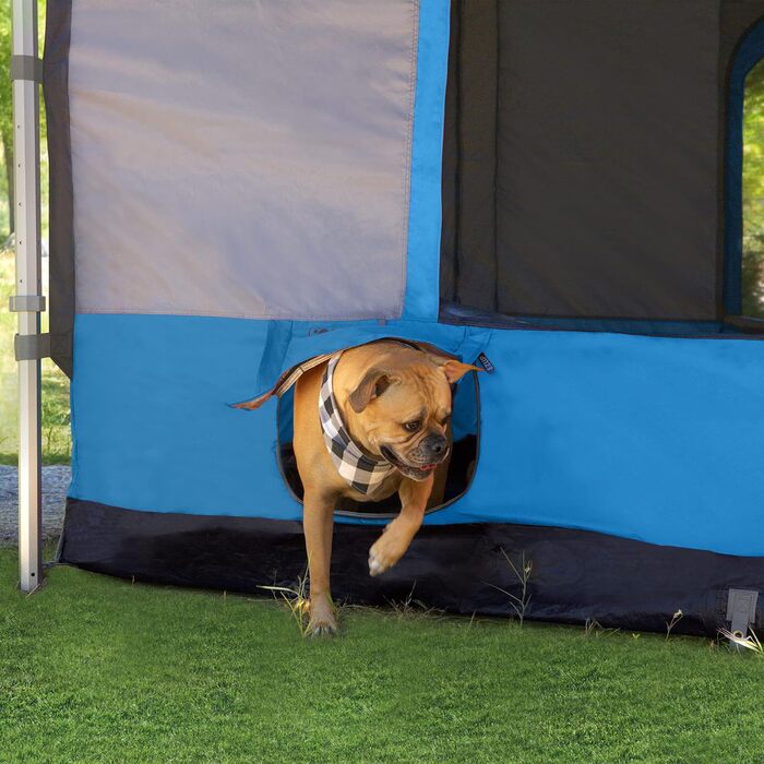 Намет EZ UP Camping Cube 6.4, колір Royal Blue, для кемпінгу