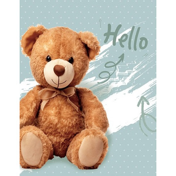 Фотольбом UFO 10x15x200 PP-46200 Hello bear  (7112448)