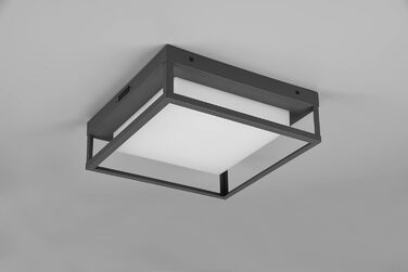Стельовий світильник Trio Witham 677860142 LED для вулиці, метал антрацит/пластик білий, 10.5 Вт, регульована колірна температура