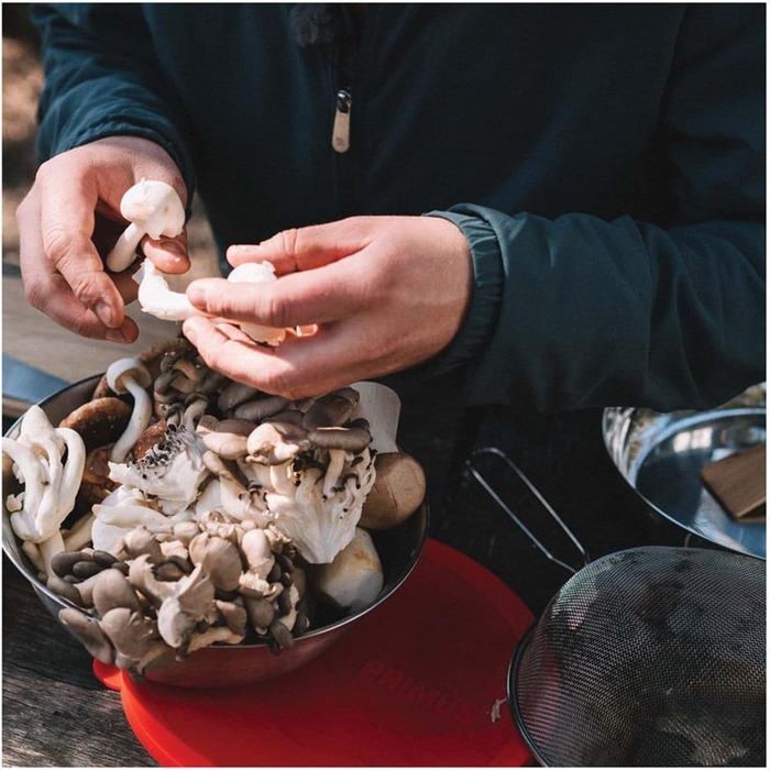 Чаша для багаття Primus з нержавіючої сталі - Кемпінгова чаша, Ø 24 x 9,5 см