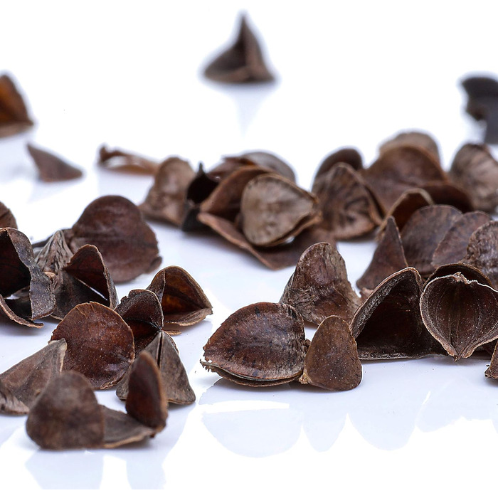 Подушка для йоги BODYMATE Half Moon, 42 см завдовжки, 30 см завширшки та 15 см заввишки, з наповнювачем з гречаної лушпиння Чохол, який можна прати в пральній машині, виготовлений зі 100 надтовстої бавовни Подушка для медитації Подушка сидіння, світло-сір