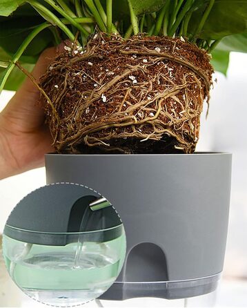 Горщик для квітів з системою поливу, горщик для трав кухонний набір підвіконня самополиваючий-5er Набір трав'яний сад для кухні, 1