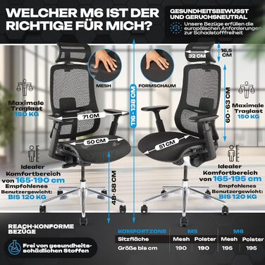 Ергономічне офісне крісло M6, переможець тестів, підходить для зросту до 1,95 м, офісне крісло з сітчастим сидінням, офісне крісло з адаптивною поперековою опорою та регульованою спинкою для здорового сидіння, крісло керівника M6 із сітчастим сидінням (чо