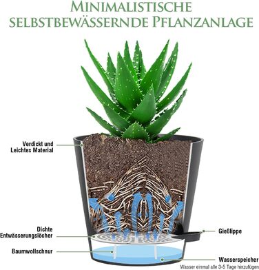 Набір з 6 самополивних квіткових горщиків, горщики для рослин 17,8 см із системою поливу, кашпо з блюдцем, набір квіткових горщиків, ідеально підходить для кімнатних та балконних садів, чорний 17,8 см чорний