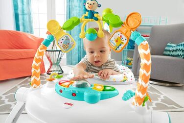 Компактні ходунки Carnaval Baby Walker Fisher-Price Jumperoo зі світлом, звуком і музикою, розбірні для зручного транспортування 9 місяців і старше, FDG98