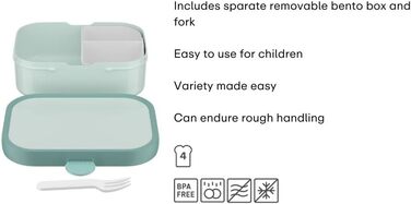 Ланчбокс Campus - Дитячий ланчбокс Bento з виделкою та роздільниками - Контейнер для їжі з кліпсою, без BPA, можна мити в посудомийній машині - 750 мл - Динозавр Стандартний Дино