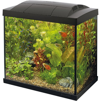 Набір для акваріума SuperFish SF Tropical Set 30 чорний, включаючи фільтр, нагрівач, кондиціонер для води, сітку, термометр та корм